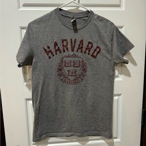 Gildan Gray Harvard Tee